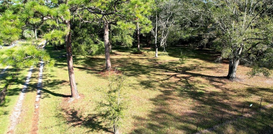 House in Jacksonville, Florida 3 bedrooms, 188.22 sq.m. № 883689