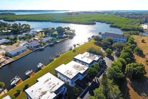 Condo in Bradenton, Florida, 2 bedrooms  № 2106408 - photo 4