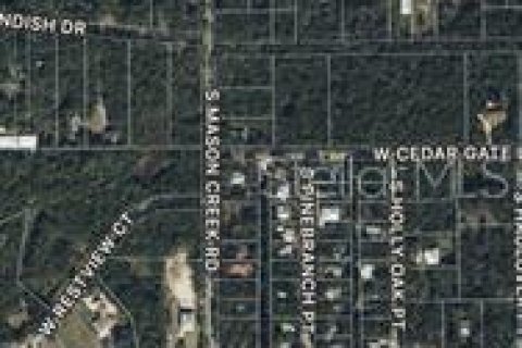 Land in Homosassa, Florida № 2201420 - photo 21