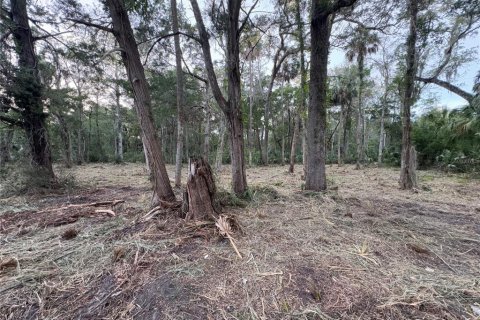 Land in Homosassa, Florida № 2201420 - photo 7
