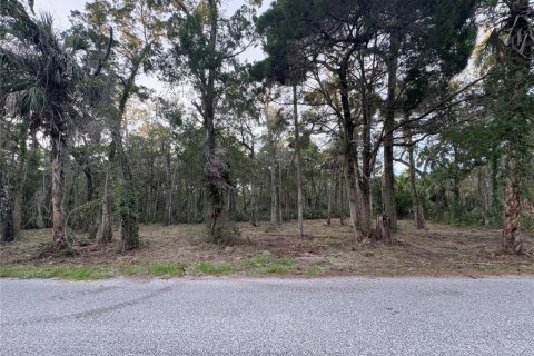Land in Homosassa, Florida № 2201420