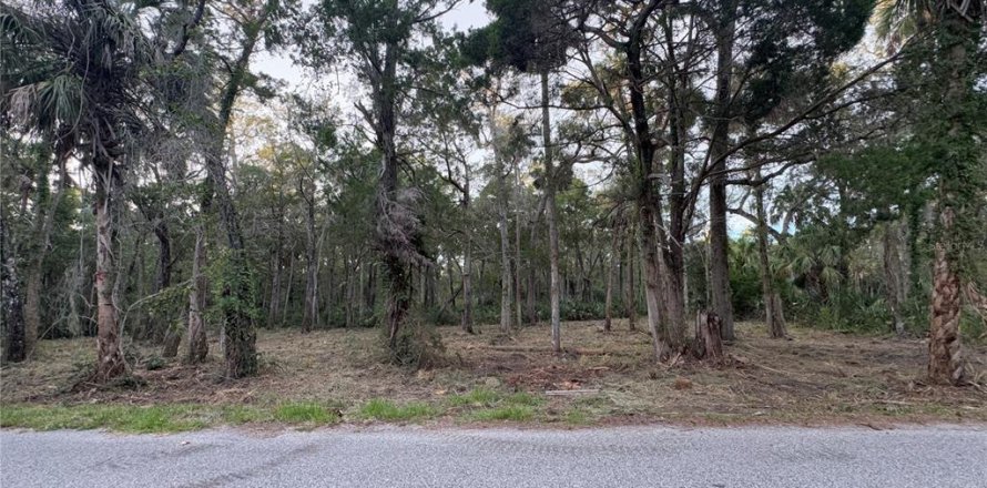 Land in Homosassa, Florida № 2201420