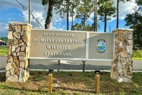 Land in Homosassa, Florida № 2201420 - photo 10