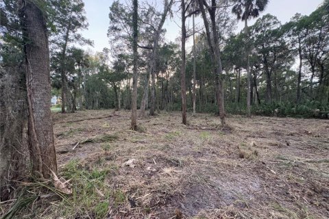 Land in Homosassa, Florida № 2201420 - photo 3