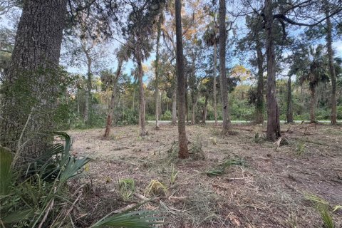 Land in Homosassa, Florida № 2201420 - photo 5