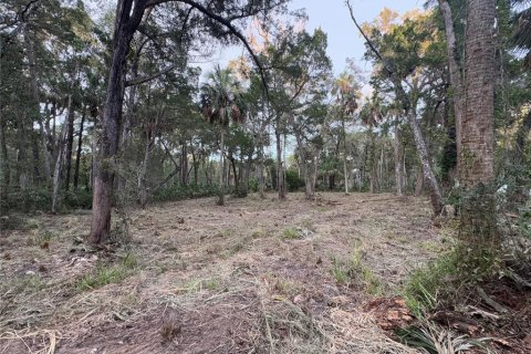 Land in Homosassa, Florida № 2201420 - photo 2