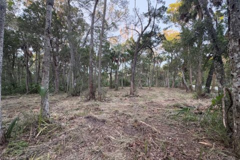 Land in Homosassa, Florida № 2201420 - photo 6