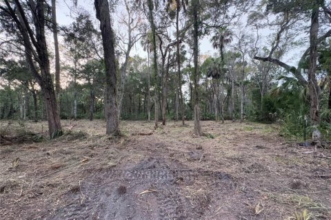 Land in Homosassa, Florida № 2201420 - photo 4
