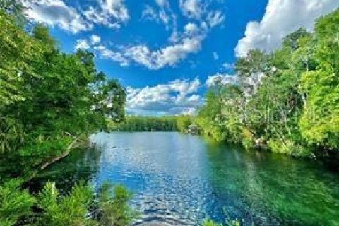 Land in Homosassa, Florida № 2201420 - photo 8