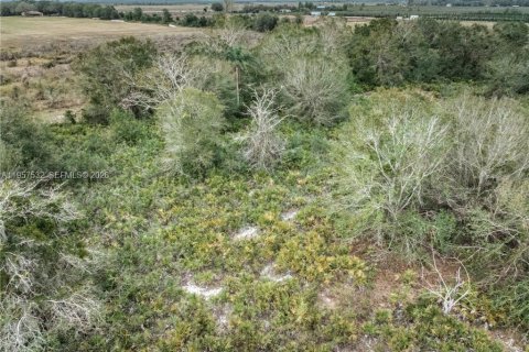 Land in Lorida, Florida № 2153559 - photo 9