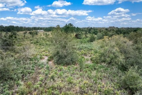Land in Lorida, Florida № 2153559 - photo 8