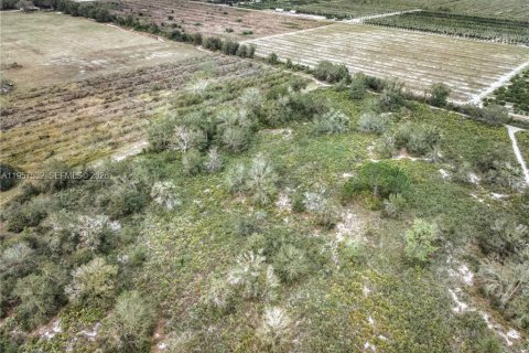 Land in Lorida, Florida № 2153559 - photo 5
