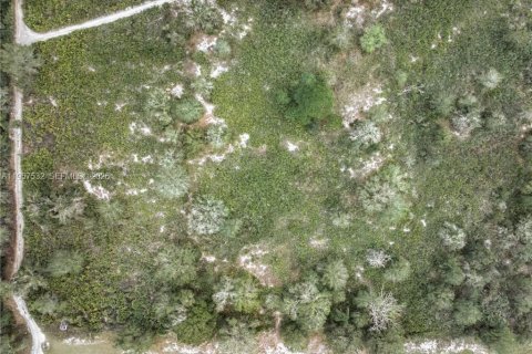 Land in Lorida, Florida № 2153559 - photo 10