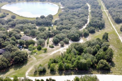 Land in Keystone Heights, Florida № 768360 - photo 1