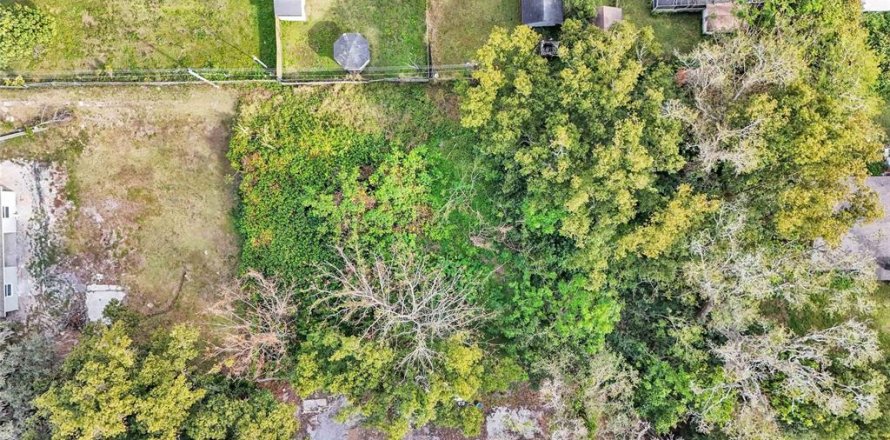 Terreno en Lakeland, Florida № 1535053