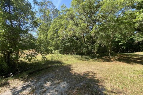 Land in Elkton, Florida № 765372 - photo 1