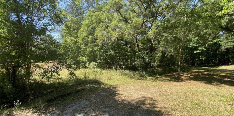 Land in Elkton, Florida № 765372