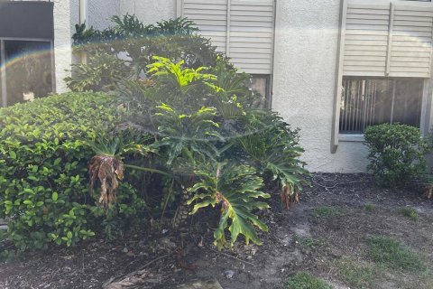 Copropriété à louer à Orlando, Floride: 2 chambres, 76.92 m2 № 2106995 - photo 7