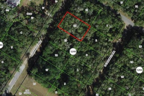 Land in Citrus Springs, Florida № 2369522