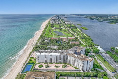 Condo in Palm Beach, Florida, 1 bedroom № 2187722