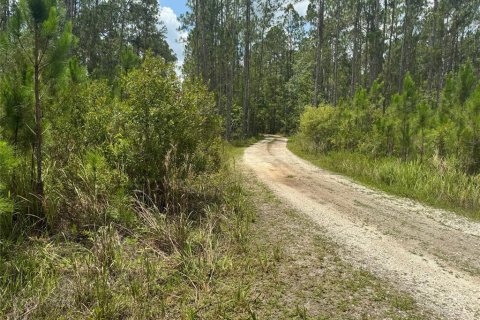 Terreno en venta en Clermont, Florida № 1771962 - foto 3