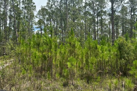 Terreno en venta en Clermont, Florida № 1771962 - foto 6
