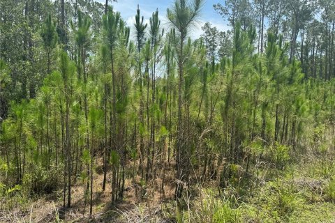 Terreno en venta en Clermont, Florida № 1771962 - foto 10
