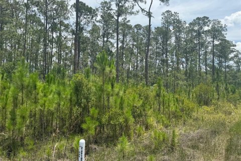 Terreno en venta en Clermont, Florida № 1771962 - foto 5