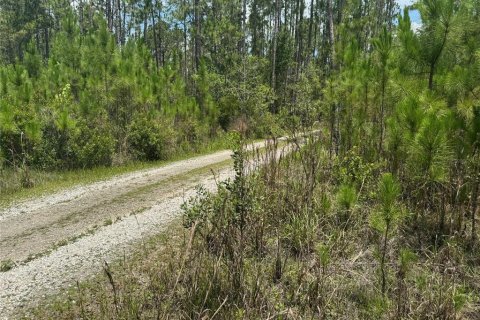 Terreno en venta en Clermont, Florida № 1771962 - foto 4