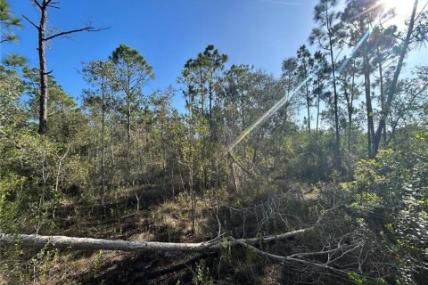 Terreno en venta en Punta Gorda, Florida № 1835375 - foto 1