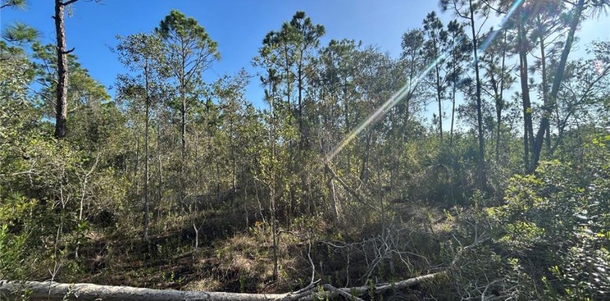 Land in Punta Gorda, Florida № 1835375