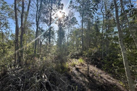 Terreno en venta en Punta Gorda, Florida № 1835375 - foto 2