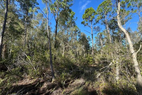 Terreno en venta en Punta Gorda, Florida № 1835375 - foto 5