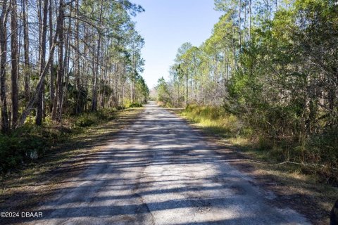 Land in Ormond Beach, Florida № 1831198 - photo 9