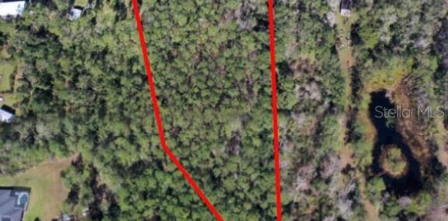 Land in Ormond Beach, Florida № 1831198