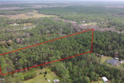 Land in Ormond Beach, Florida № 1831198 - photo 3