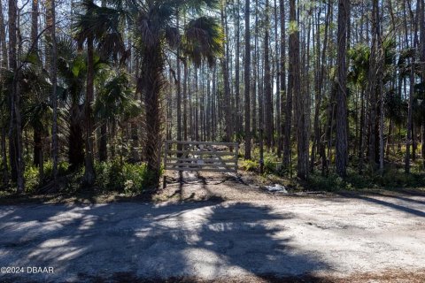 Land in Ormond Beach, Florida № 1831198 - photo 10