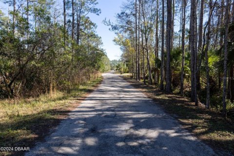 Land in Ormond Beach, Florida № 1831198 - photo 8