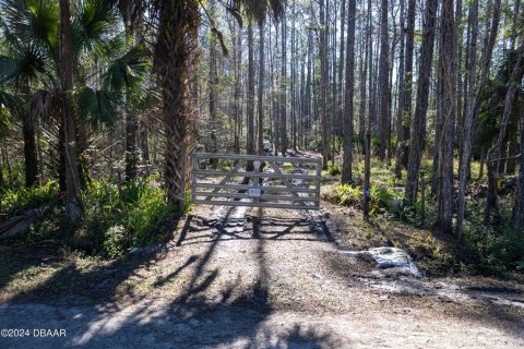 Land in Ormond Beach, Florida № 1831198 - photo 7