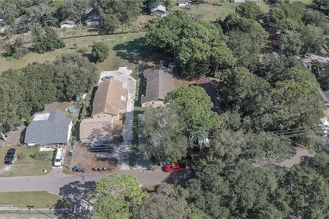 Immobilier commercial à vendre à Clearwater, Floride: 7 chambres, 233.37 m2 № 2299817 - photo 30