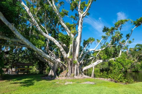 Terreno en venta en Sarasota, Florida № 1880444 - foto 4
