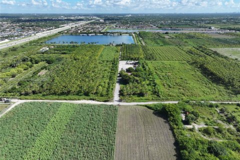 Commercial property in Homestead, Florida № 1979101 - photo 4