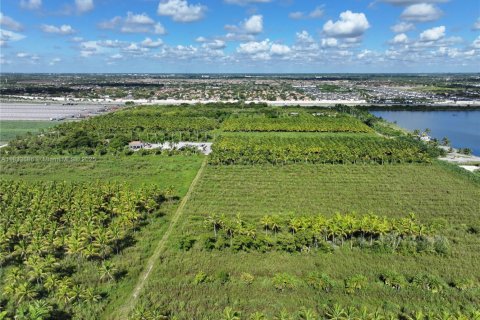 Commercial property in Homestead, Florida № 1979101 - photo 20