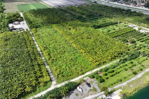 Commercial property in Homestead, Florida № 1979101 - photo 7