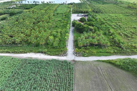 Commercial property in Homestead, Florida № 1979101 - photo 28