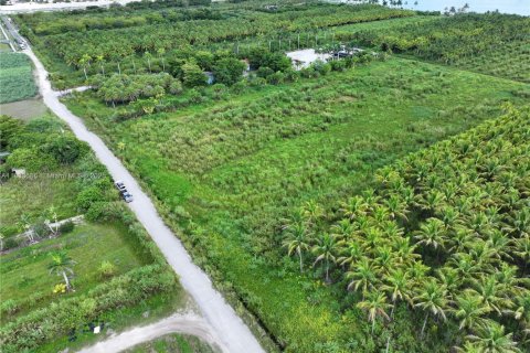 Commercial property in Homestead, Florida № 1979101 - photo 6