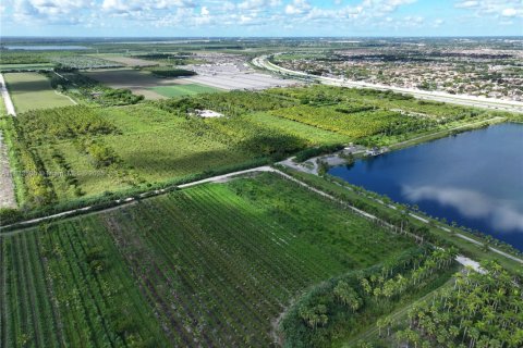 Commercial property in Homestead, Florida № 1979101 - photo 21