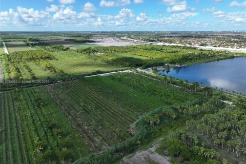 Commercial property in Homestead, Florida № 1979101 - photo 22