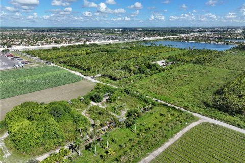 Commercial property in Homestead, Florida № 1979101 - photo 18