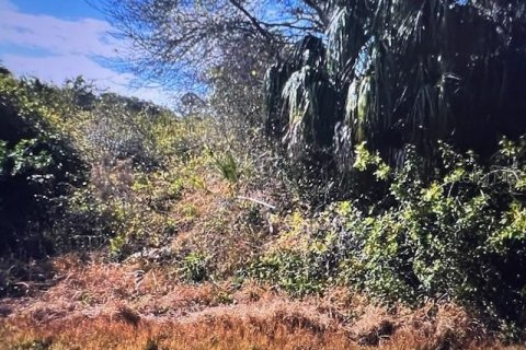 Land in North Port, Florida № 2228731 - photo 3